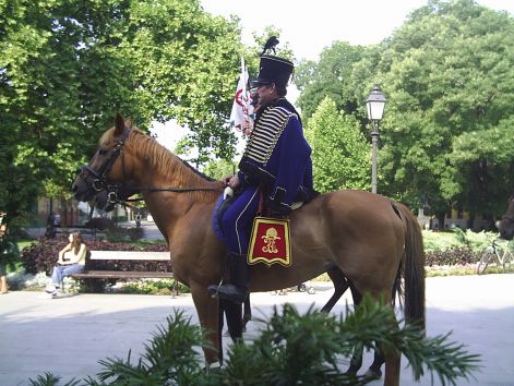 szekelyhuszar.jpg
